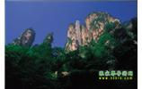 網(wǎng)絡(luò)熱門純玩游：張家界、天子山、袁家界、楊家界 自助三日游