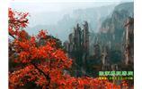 春節(jié)期間：張家界、天子山、金鞭溪自駕車精華精品游