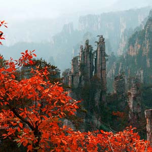 休閑自駕E線：張家界、袁家界、天子山、寶峰湖、鳳凰古城、沱江泛舟四晚五日游