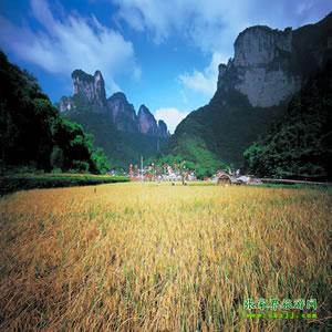 張家界往返純玩散拼：矮寨大橋、德夯苗寨、鳳凰古城、芙蓉鎮(zhèn)二日游