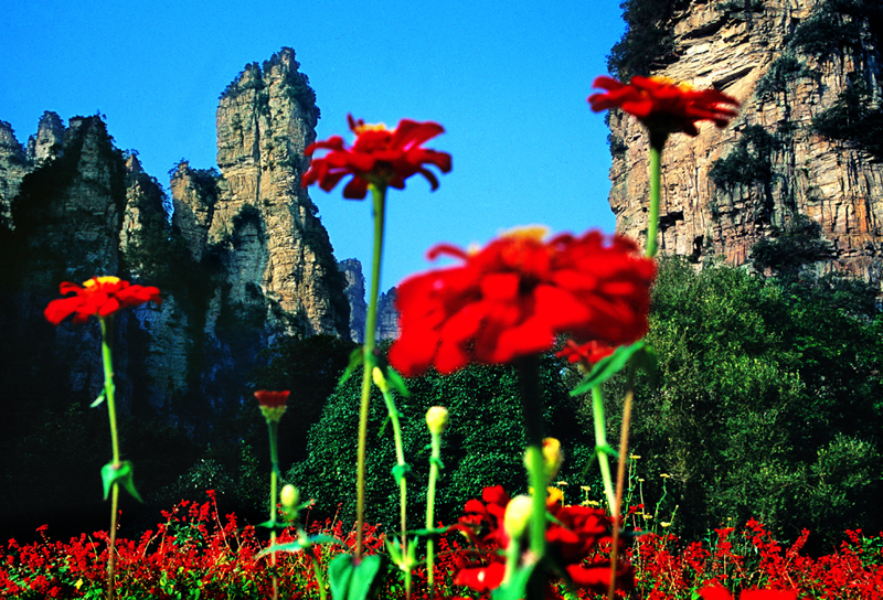 LF線：張家界國(guó)家森林公園、猛洞河漂流、鳳凰古城純玩自助五日游